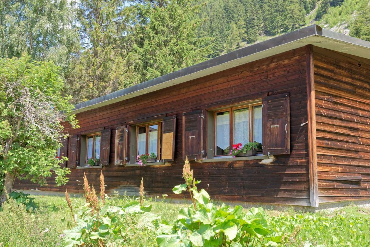 Bivouac De Napoleon 3*